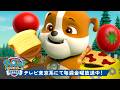 パウ・パトロール | PAW Patrol おいしい冒険&レスキュー!#6 🍕 | 30分 | テレビ東京系にて放送中