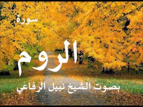 سورة الروم بصوت الشيخ نبيل الرفاعي 
