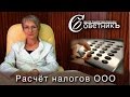 Как рассчитать налоги ООО