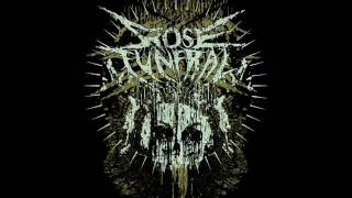 Rose Funeral - Demos 2008-2010 (Compilation)