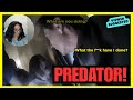 CHlLD PRÊDATOR K*SSED AND GR0PED TEENS