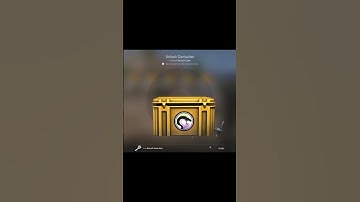 Opening 1 Case a Day Until I Open Gloves Day #72