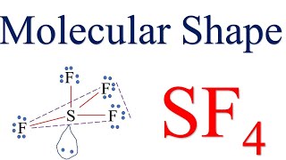 Molecular Structure and Electronic configuration of SF4 | chemistry lessons in english