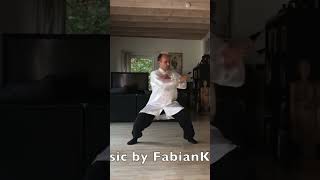 Tai Chi by @jansilberstorff4535  - music by @FabianKreutzerSound  #relaxingmusic #martialartsmusic