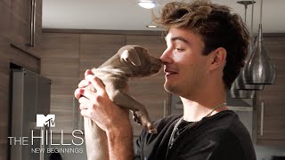 Brandon's New Puppy! (Bonus Scene) 🥰 The Hills: New Beginnings