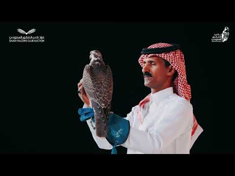 ختام ليلتنا الخامسة والعشرين