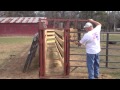 Home made head gate for cattle YouTube