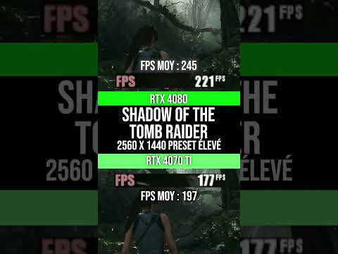 RTX 4070 Ti vs RTX 4080 sur Shadow Of The Tomb Raider