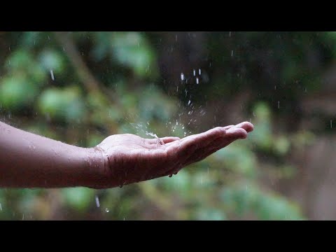 Rain | Music | Love | Romantic | Relax | Nature Whatsapp Status HD | Whatsapp status video | FULL HD