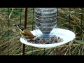 silo pour graines d'oiseaux - version revisitée en 2019 sur ce lien - https://youtu.be/U1Gu5e4C1t8