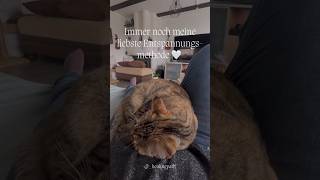 Liebste Entspannungsmethode🤍 #katzenliebe