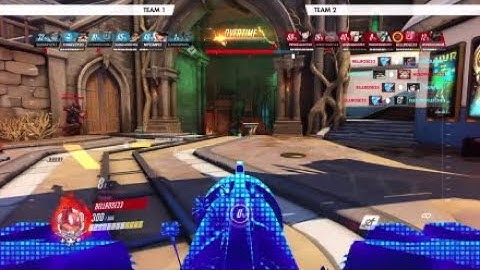 Overwatch Echo Team Kill