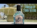 Fountain of Youth Water :  DIY Potion Bottle : Potion Prop : Light Up Potion Bottle