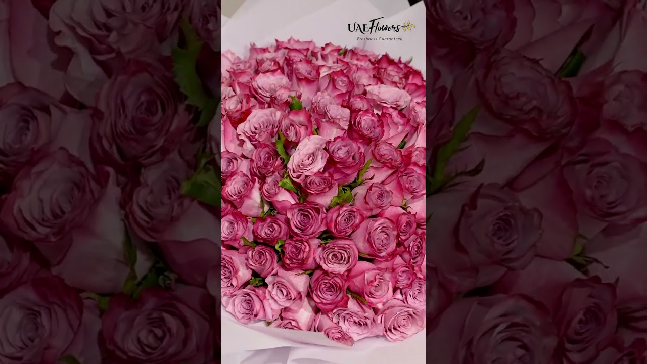 A Bouquet of Purple Roses for Her | 100 Double Shaded Purple Orchids Bouquet By UAE Flowers