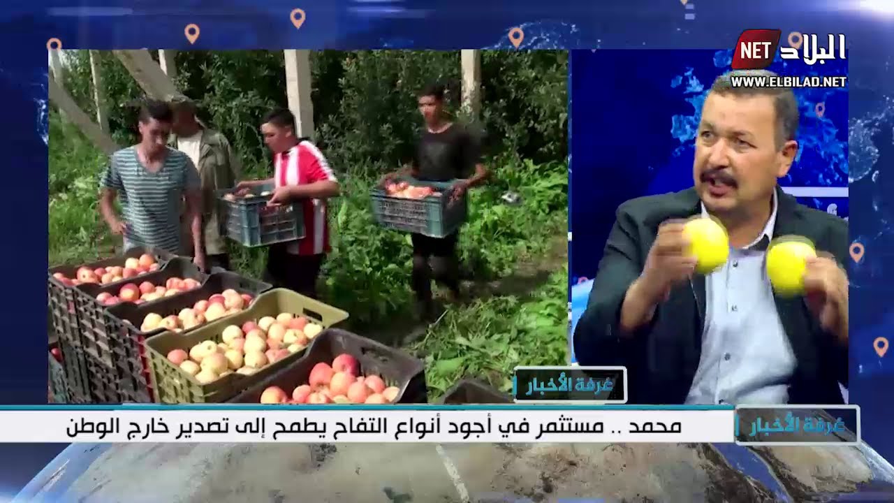 محمد ..مستثمر في أجود أنواع التفاح  يطمح إلى تصدير خارج الوطن
