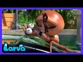Larva - 新キャラ登場!ココアに恋しちゃう?💕 | 子供アニメ | WildBrain キッズ