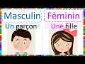 Apprendre le masculin  et le fminin