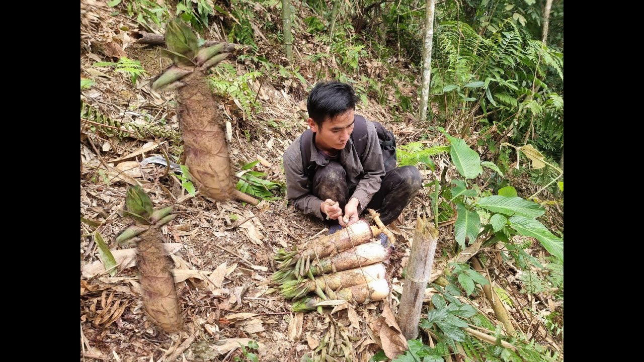 took her daughter to school and then went into the forest to look for ...