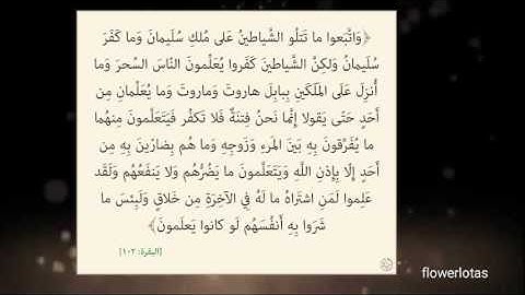 سورة البقرة آية 102🍃