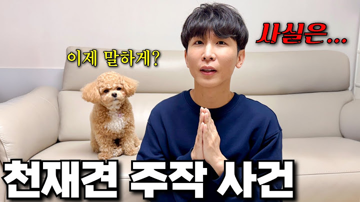 죄송합니다 천재견이라고 생각하신 토리는 사실.. 제가...