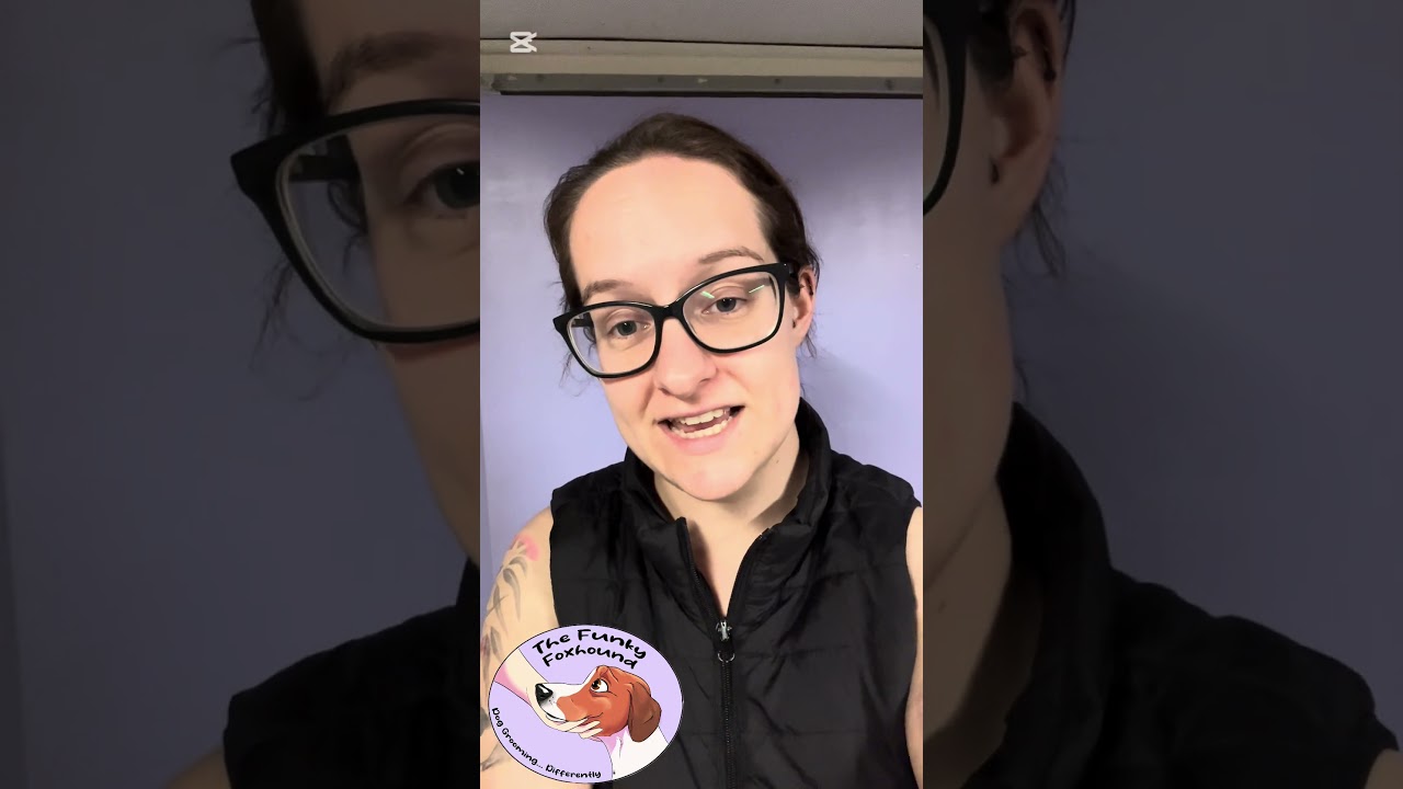 The Sneaky Springtime Danger for Dogs 🌾 