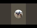 mercy Nguku is live!