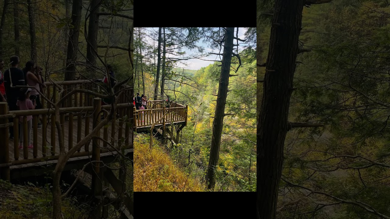 Bushkill Falls 😍 Niagara of Pennsylvania 