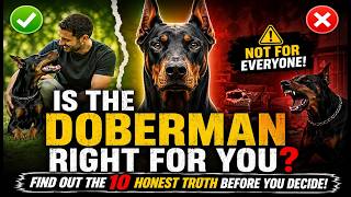 Is the Doberman Right For You?