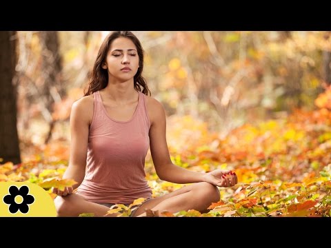 6 Hour Healing Music: Nature Sounds, Meditation Music, Soothing Music, Relax Mind Body ✿677C