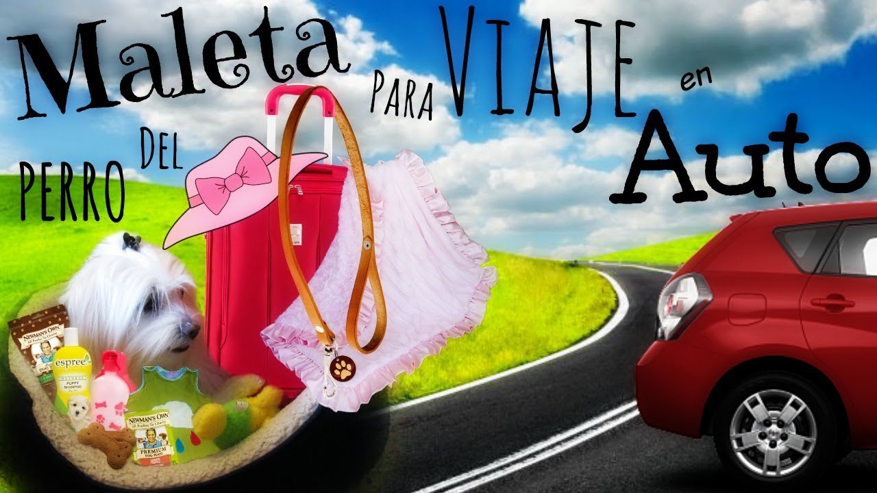 Maleta del perro para viaje en auto I Coton de tulear I Lorentix - YouTube