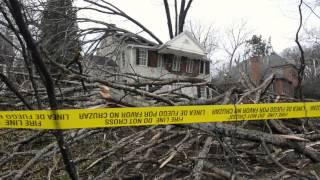 Huge trees fall onto home in Dilworth