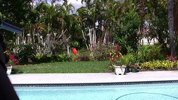 2011 Macdev Clone VX Shooting