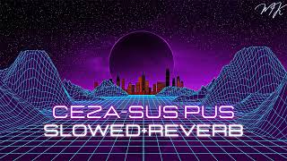 Ceza - Sus Pus (slowed+reverb) Resimi