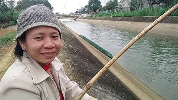 Cận Cảnh Pha Dòng Cá Trắm Đen 26kg Tại Hồ Câu