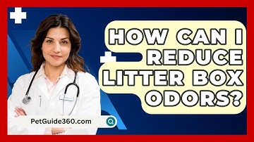 How Can I Reduce Litter Box Odors? - PetGuide360.com