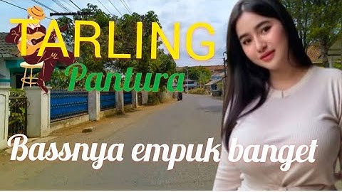 TARLING PANTURA||BASSNYA EMPUK BANGET@juraganlagutarling01