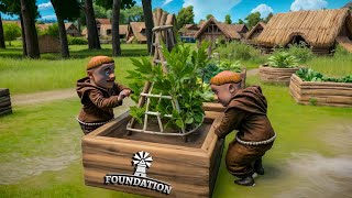 Bahçemi̇zden Meyve Topluyoruz Foundati̇on Bölüm 10