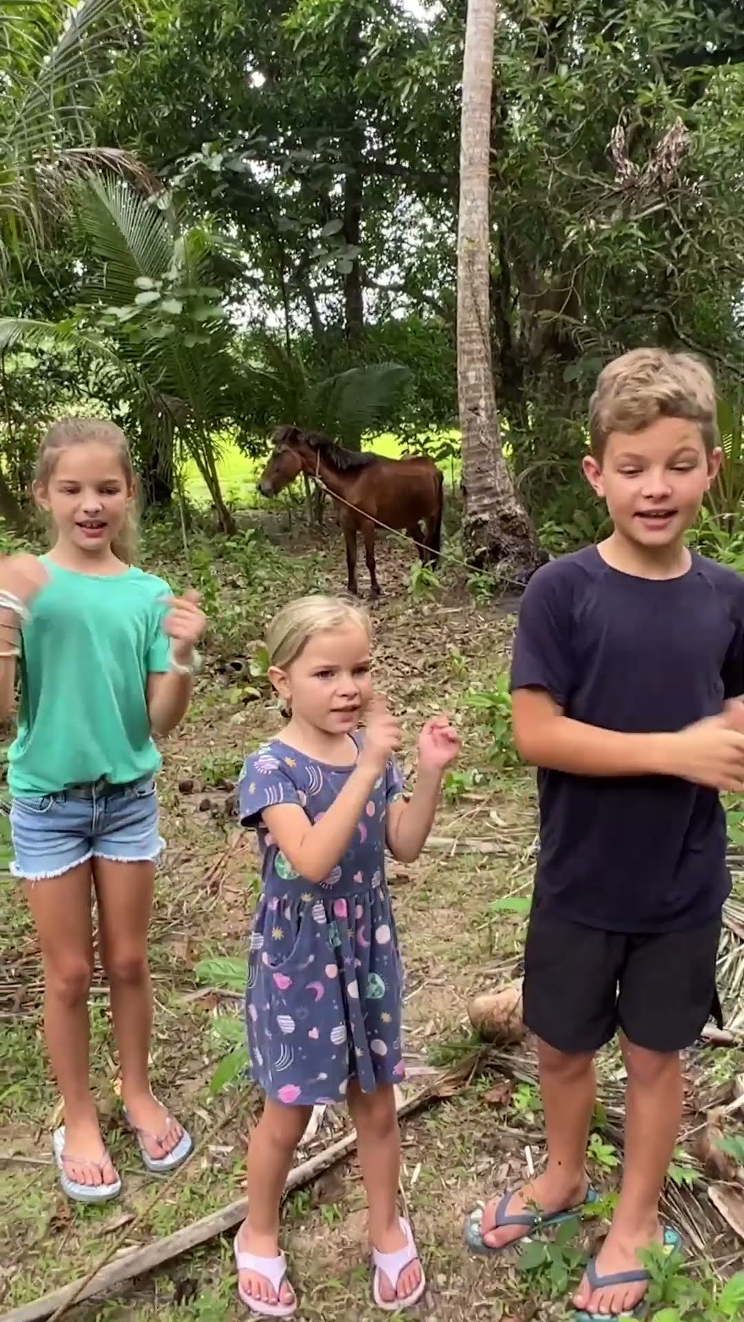 #oldmcdonald #kidssong
