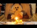 ポラ4歳の誕生日!!【トイプードル犬】