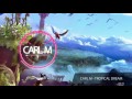 Carl m  tropical dream