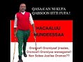 Hacaaluu Hundeessaa Oromo Music Ethiopia 