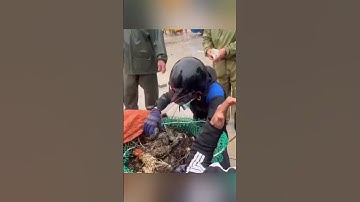 Mưa lũ tại miền Trung gây thiệt hại nặng nề, 108 người chết và mất tích #keolive #tintuc #tinnong24h