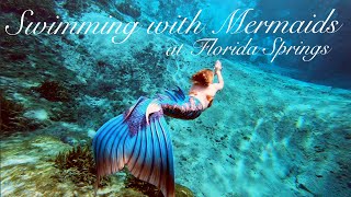 Florida Springs Swimming With Mermaids