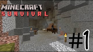 Minecraft Survival Let's Play (#1 Finding A House To Stay)