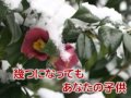 朝田のぼるのああ母よ811011