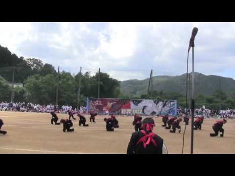 2015岡山白陵紅組応援