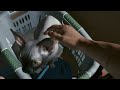How To Get PET CAT In Cyberpunk 2077