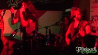 Panndora - Wild Battle