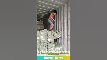 International Import/Export Services: Container Export To Ship With Asphalt Shingle