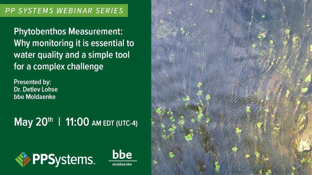 Phytobenthos Measurement: Why Monitoring It Is Essential to Water Quality